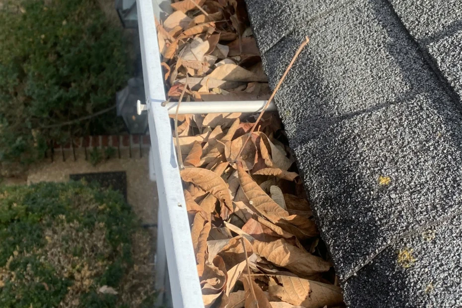 Gutter Cleaning Gonzales